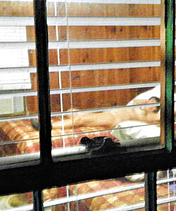 angela naked at a cheap hotel